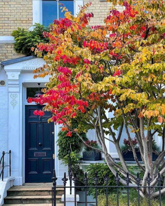 Chelsea Posh Apartment Londra Exterior foto